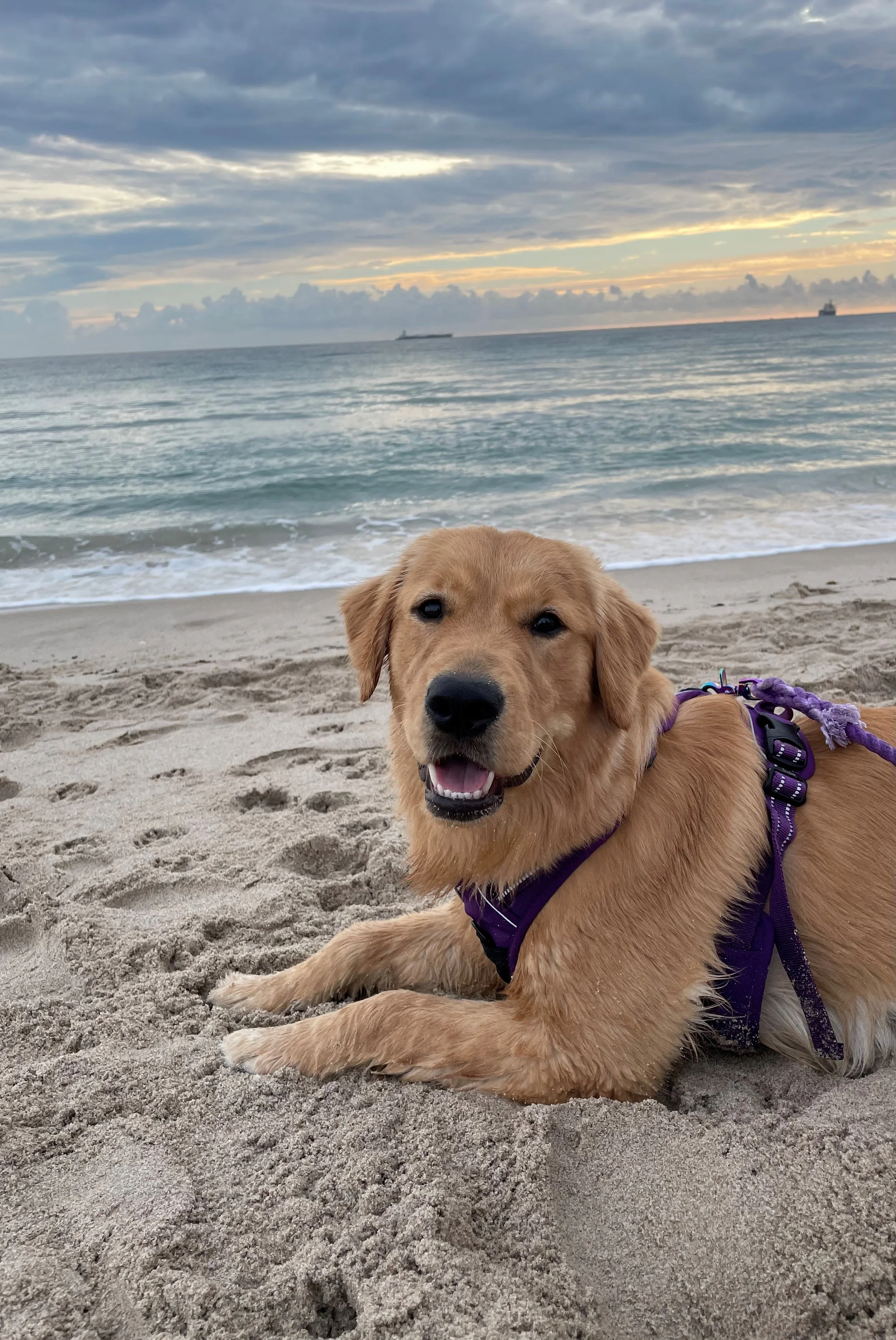 ChaiBeach.jpg