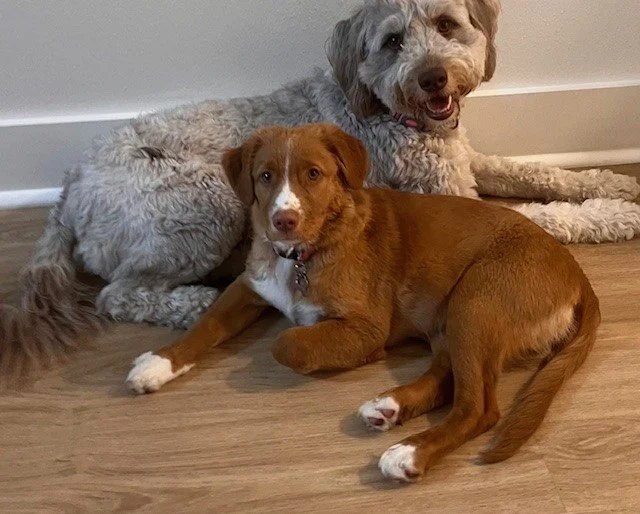 Penny&Friend.jpg