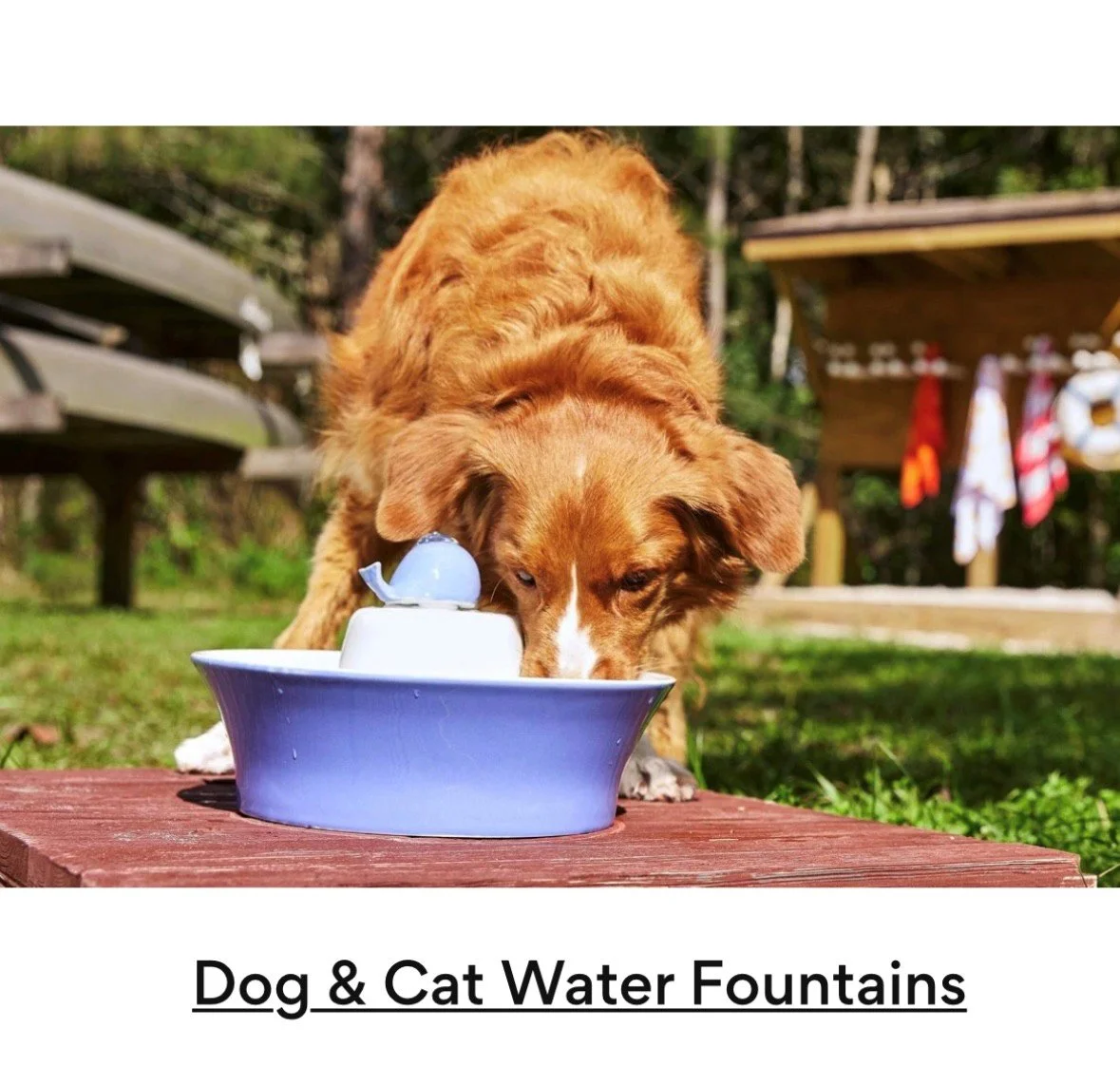 AdeleWaterfountain.jpg