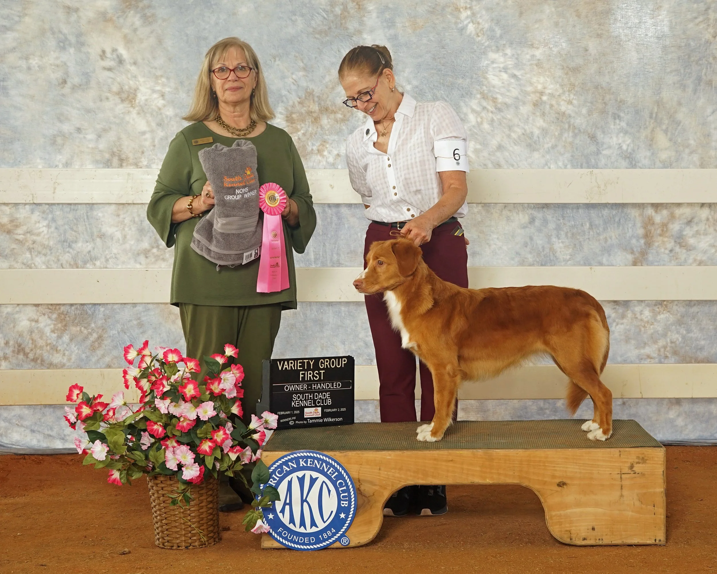 LaceyOHGroup1SDadeKennelClub020225.jpg