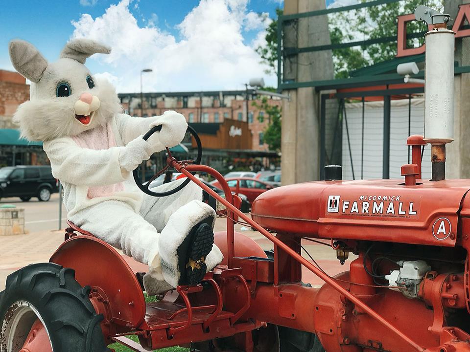 bunny+tractor.jpg