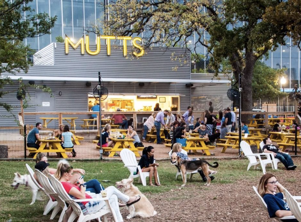 Your Guide to the Dog Parks of Dallas — Dallasites101