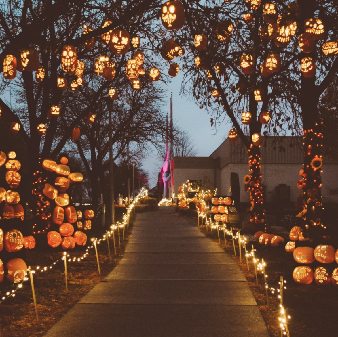 9 Pumpkin Patches and Farms to Visit This Fall in Dallas — Dallasites101