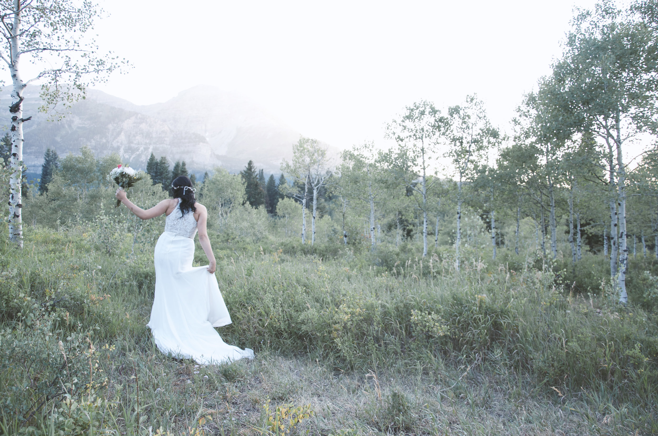 provo wedding and engagement photographer.jpg