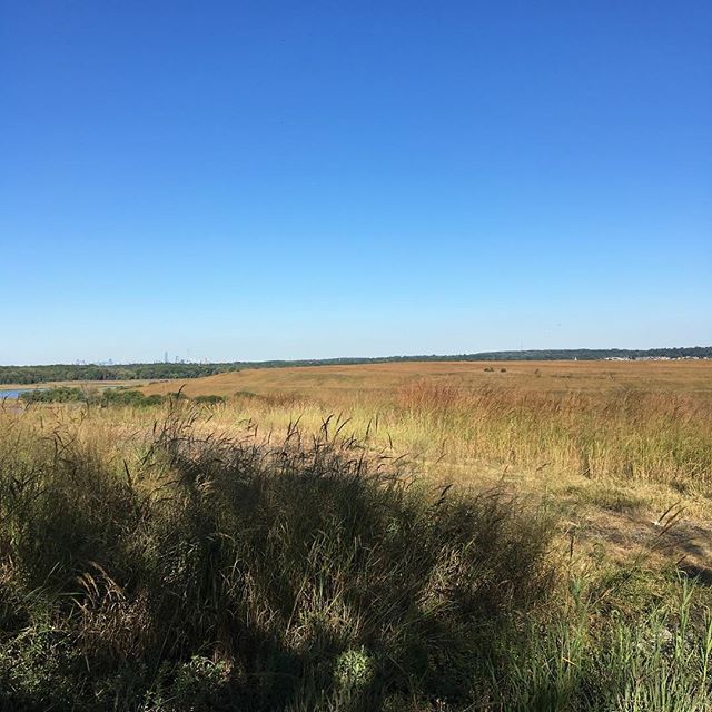 Field trip to #freshkillspark NYC's former #landfill. Yay to reducing landfill and rehabilitating the earth for future generations to come. Great job @nycsanitation @nycparks @fieldoperations #nyc in the far left background #design #tech #startup #su