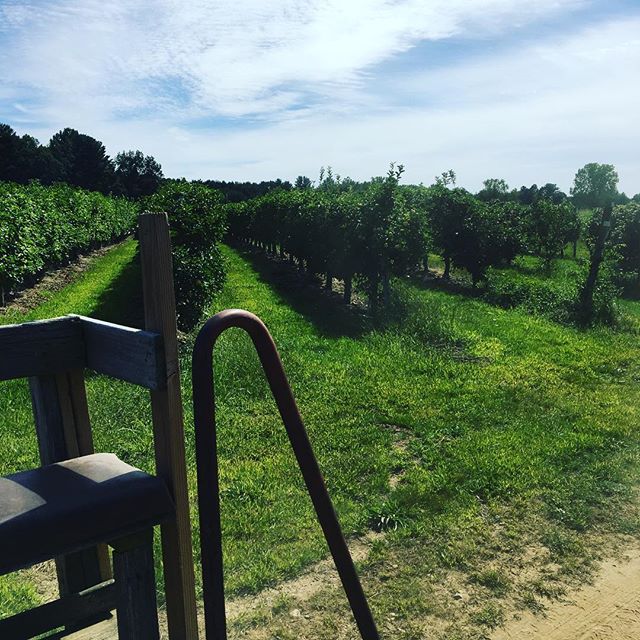 Happy Labor Day! We're out in Connecticut checking out the apple farms and learning from the farmers! #orchard #compost #foodwaste #technology #startup #nyc #farmtotable #farmtotabletofarm
