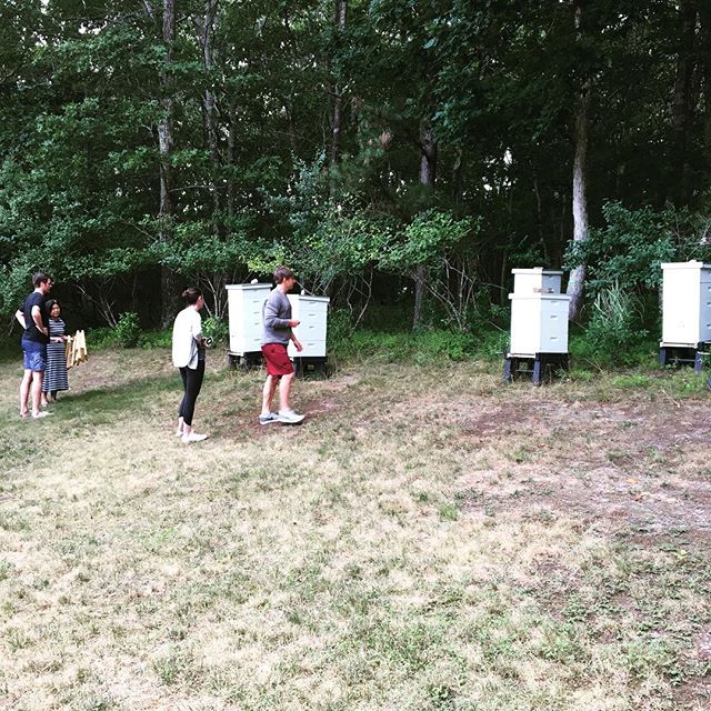 Learning about the home apiary site #beekeeping #sustainability #zerowaste #compost #design #technology #startup #nyc