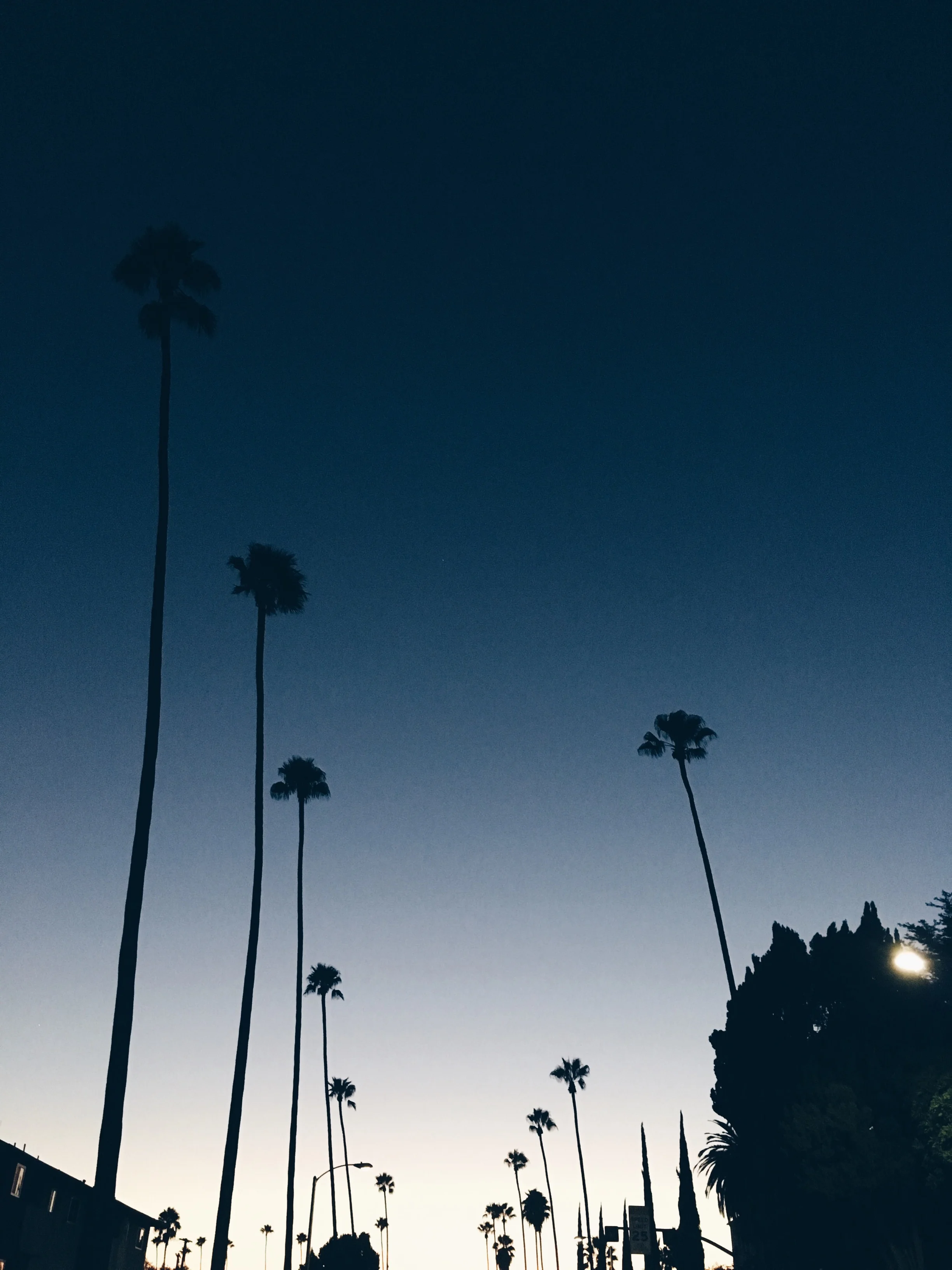 JPEG image-04E6B6B2FD1B-1.jpeg