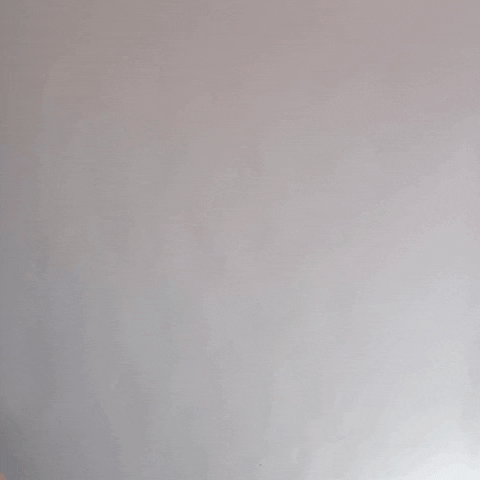 giphy-11.gif