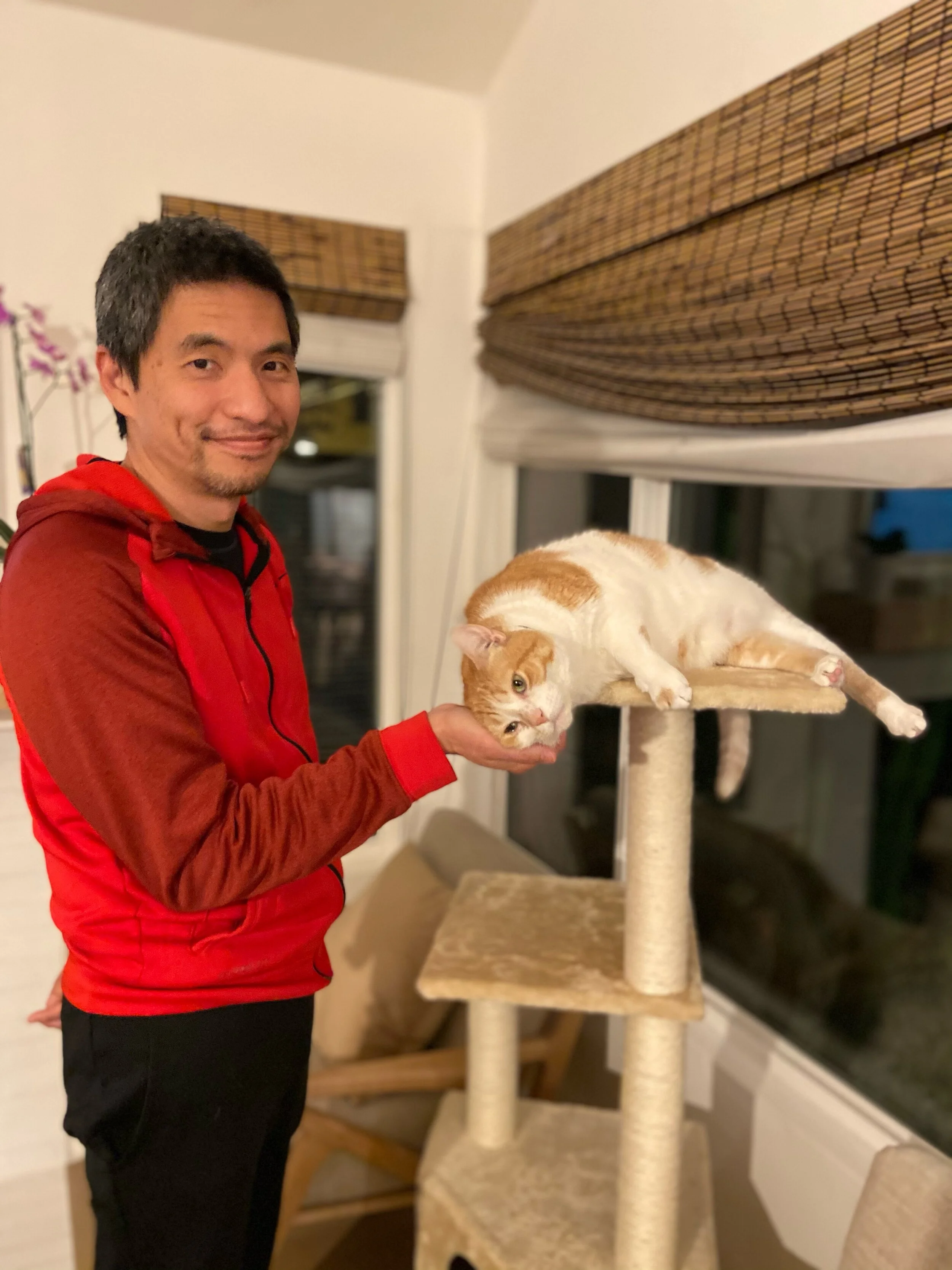 Jason Chen cat.jpeg