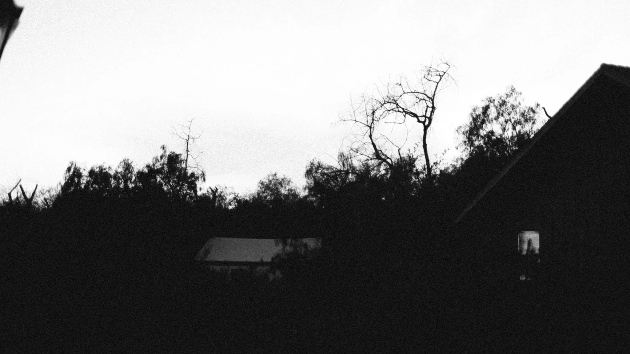 XPRO8576.JPG