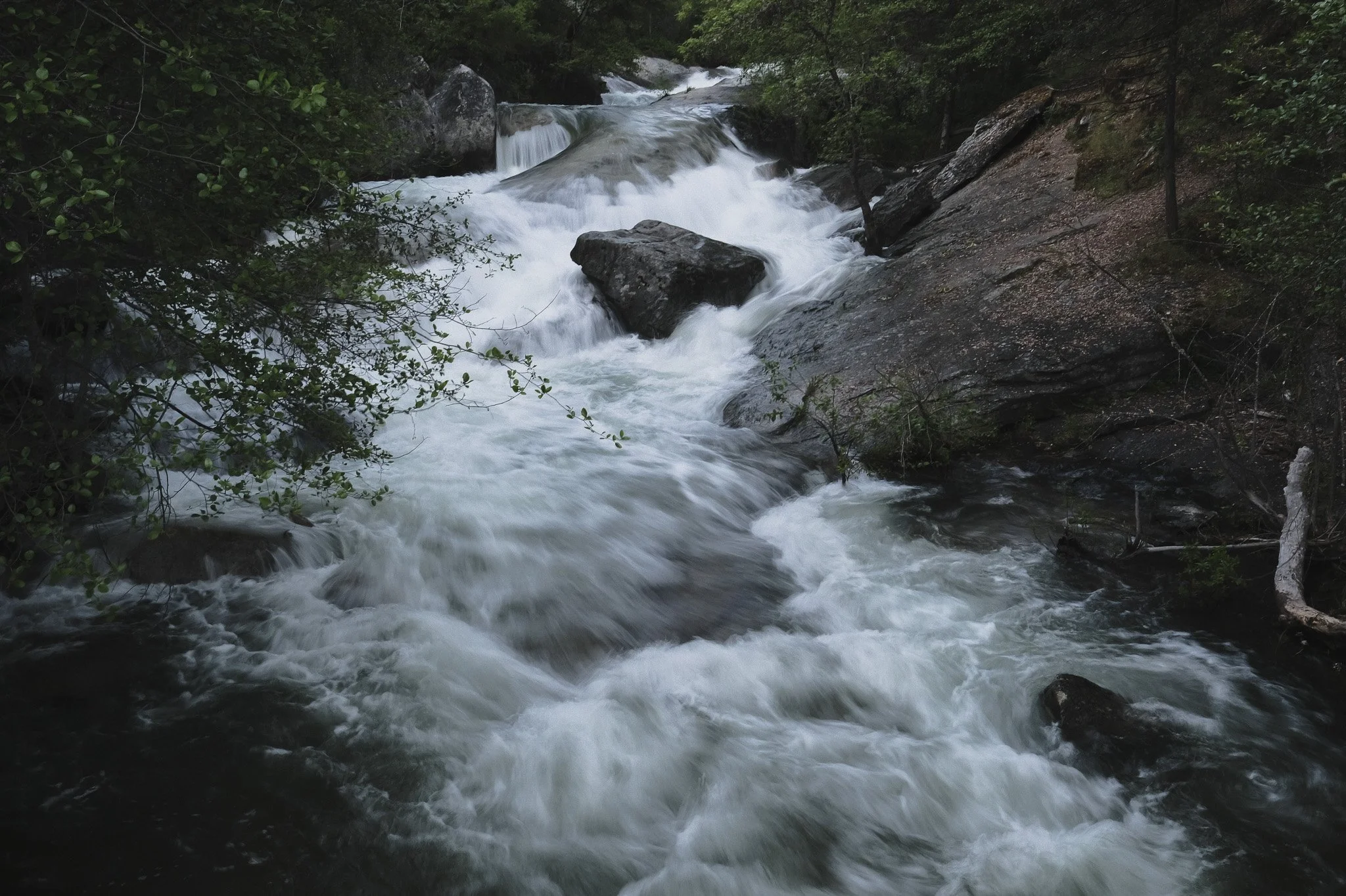 XPRO8275.jpg