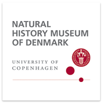 newlogo-nhmuseum-1.png