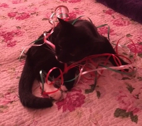 “Dontcha just love Christmas, Mommy?” I do, Smooch, I really do.