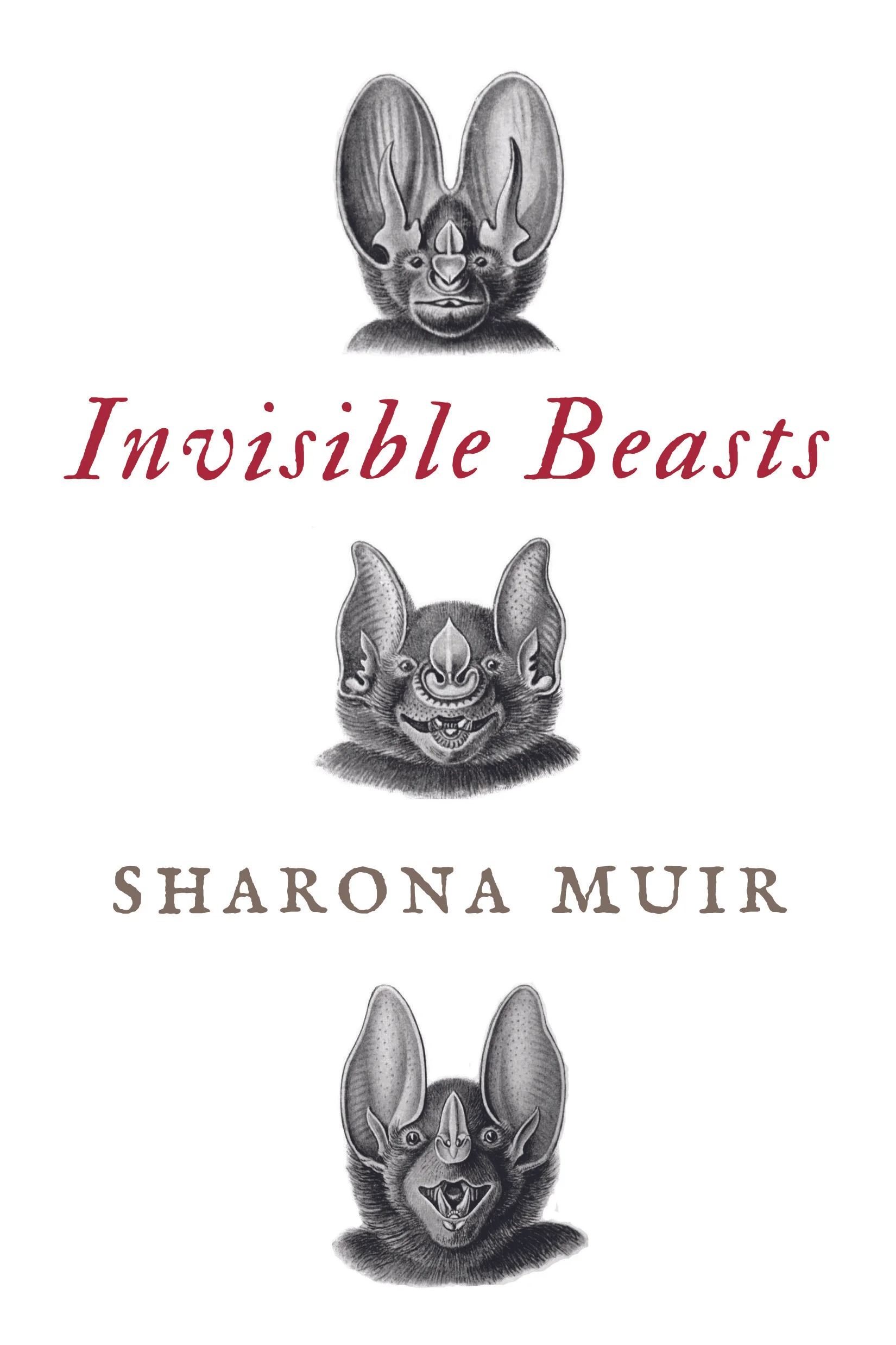 invisible beasts.jpg