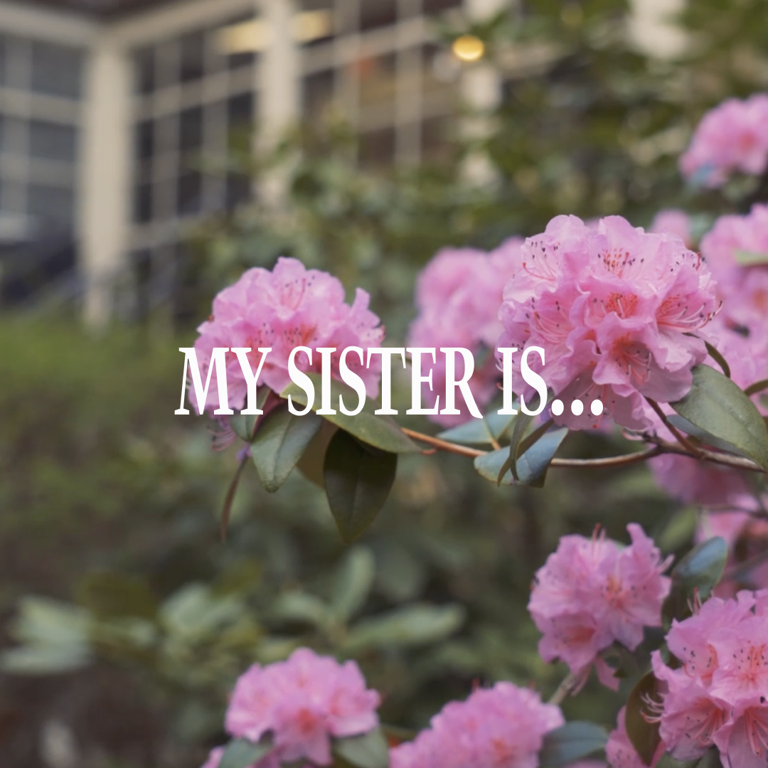 My Sister Is...