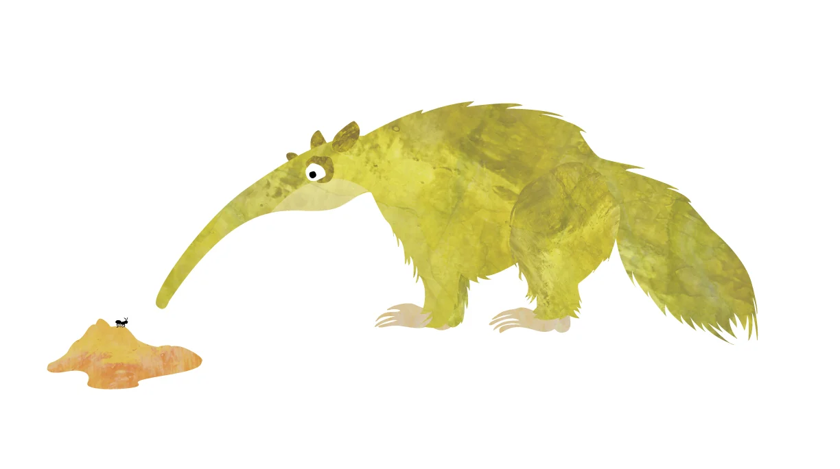 Anteater