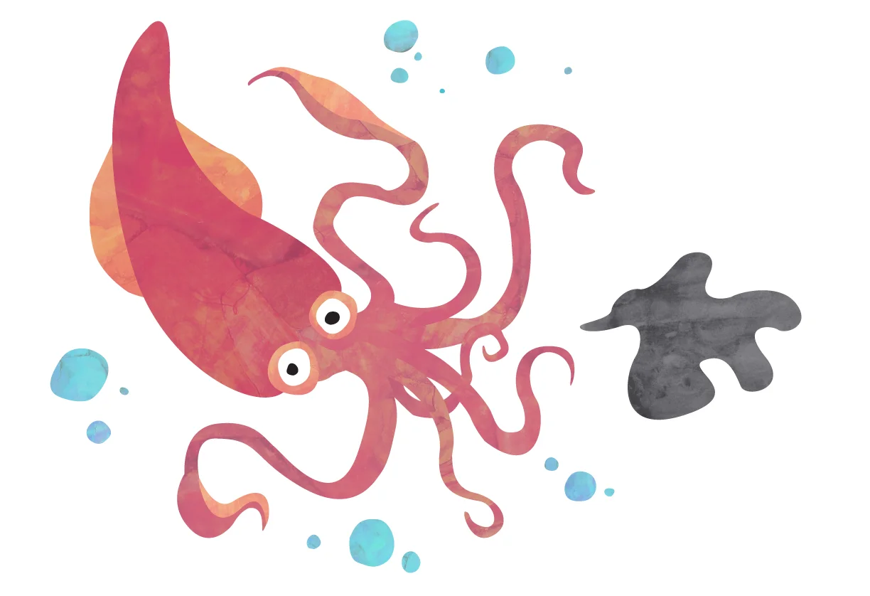 Squid