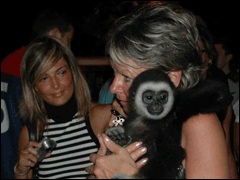 photo with wild gibbon.gif