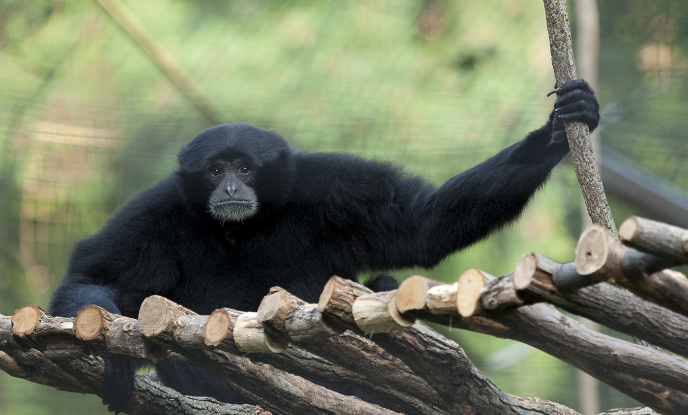 Smithsonian National Zoo