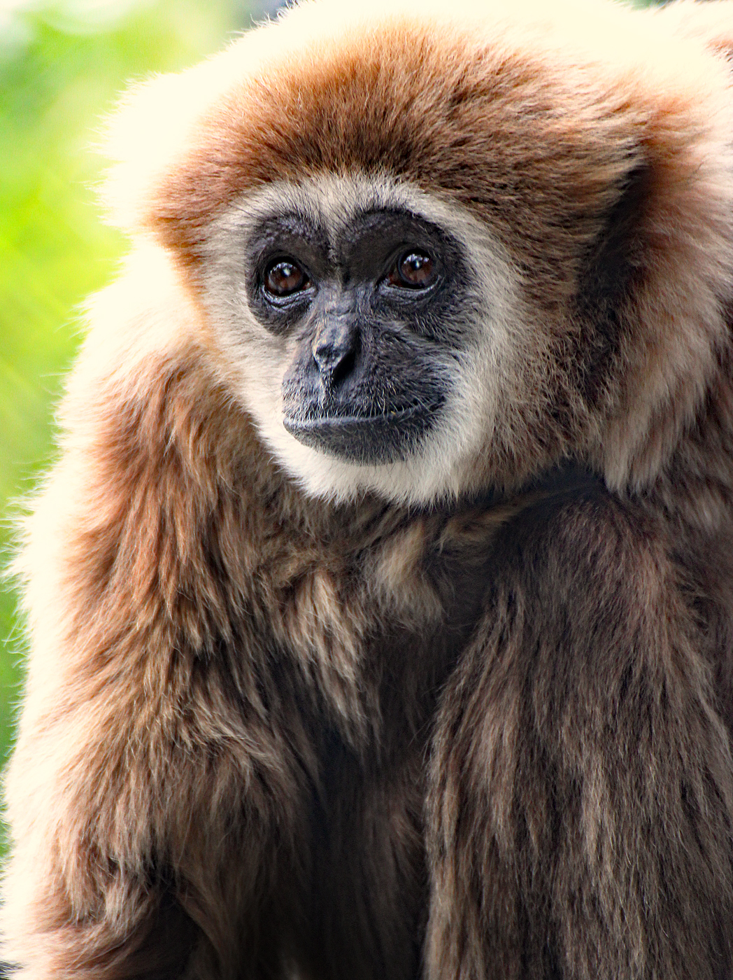 Sacramento Zoo