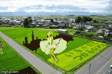 rice9.gif