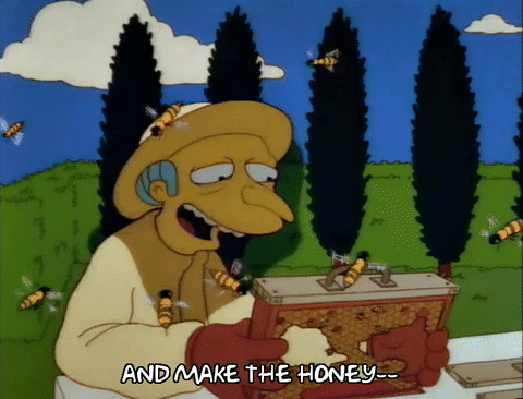 giphy (1).gif