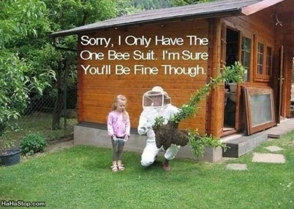 beesuit2.jpg