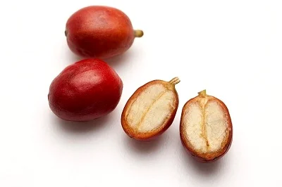 inside coffee cherry.jpg