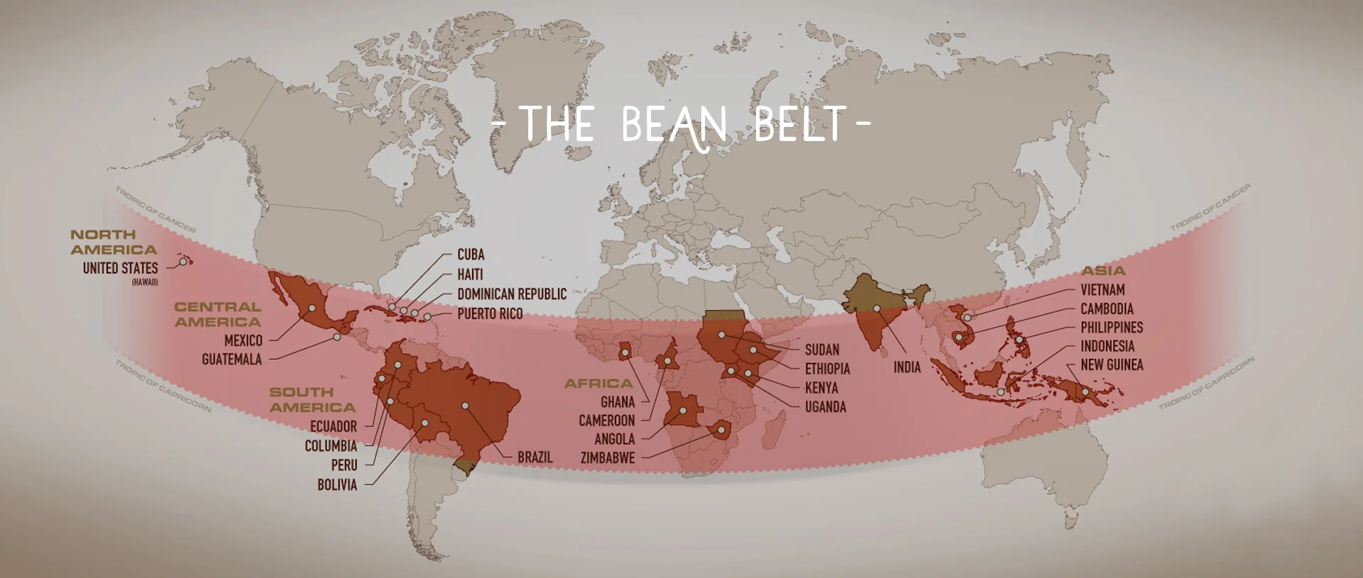 BeanBelt.jpg