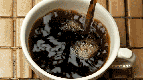 giphy (2).gif