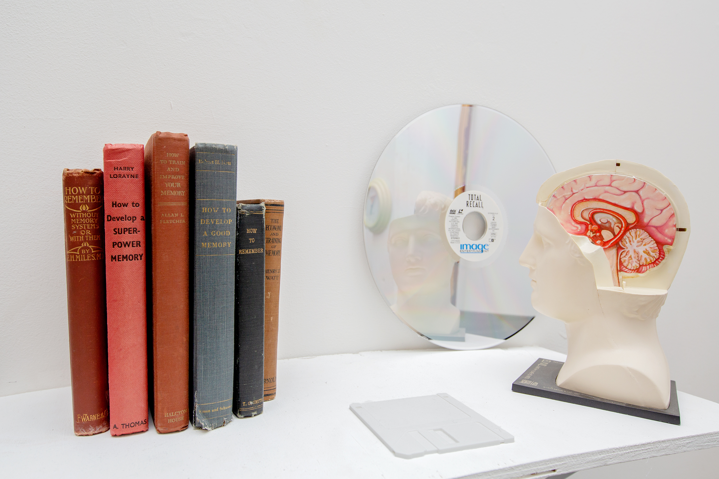 The Contours Of What Is Not, Or Is No Longer, Or Is Not Yet 2018, laserdisc, promotional pharmaceutical head, books, 3D prints.