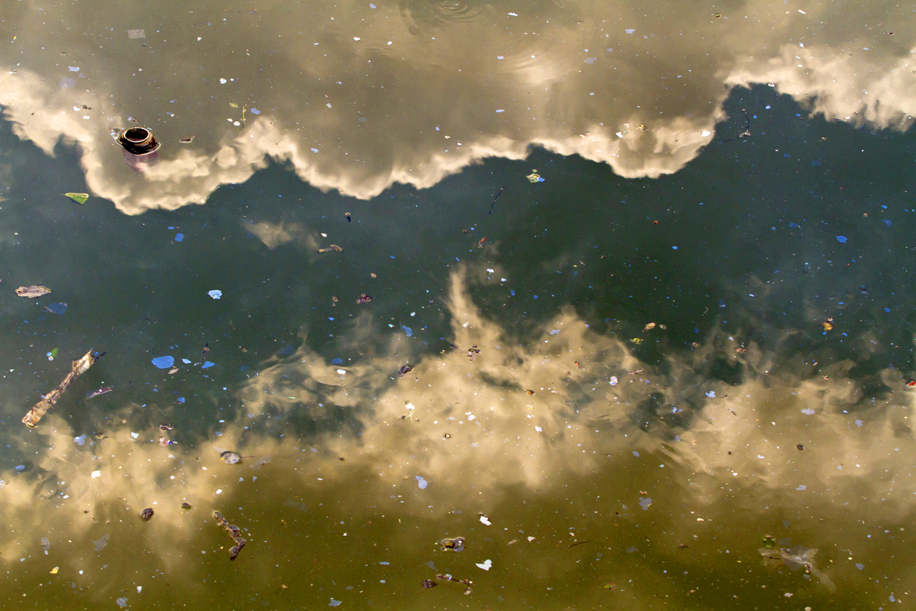 Gowanus Canal, 2012