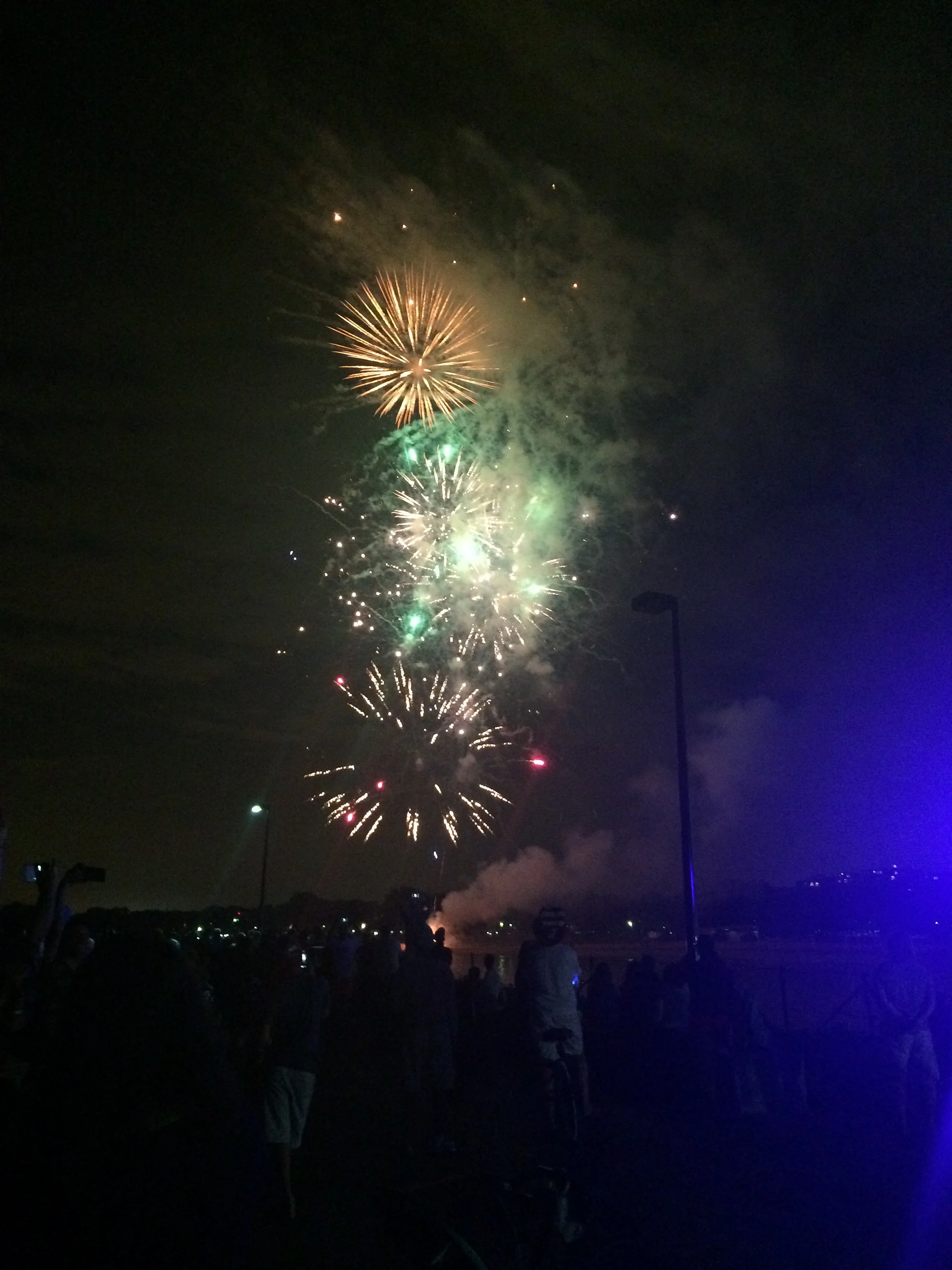 Obligatory fireworks photo