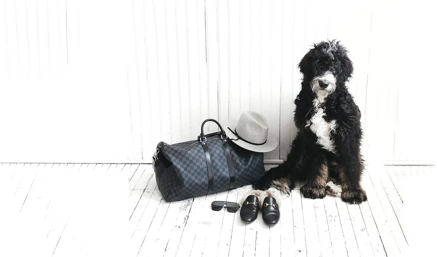 bernedoodle cover.jpg