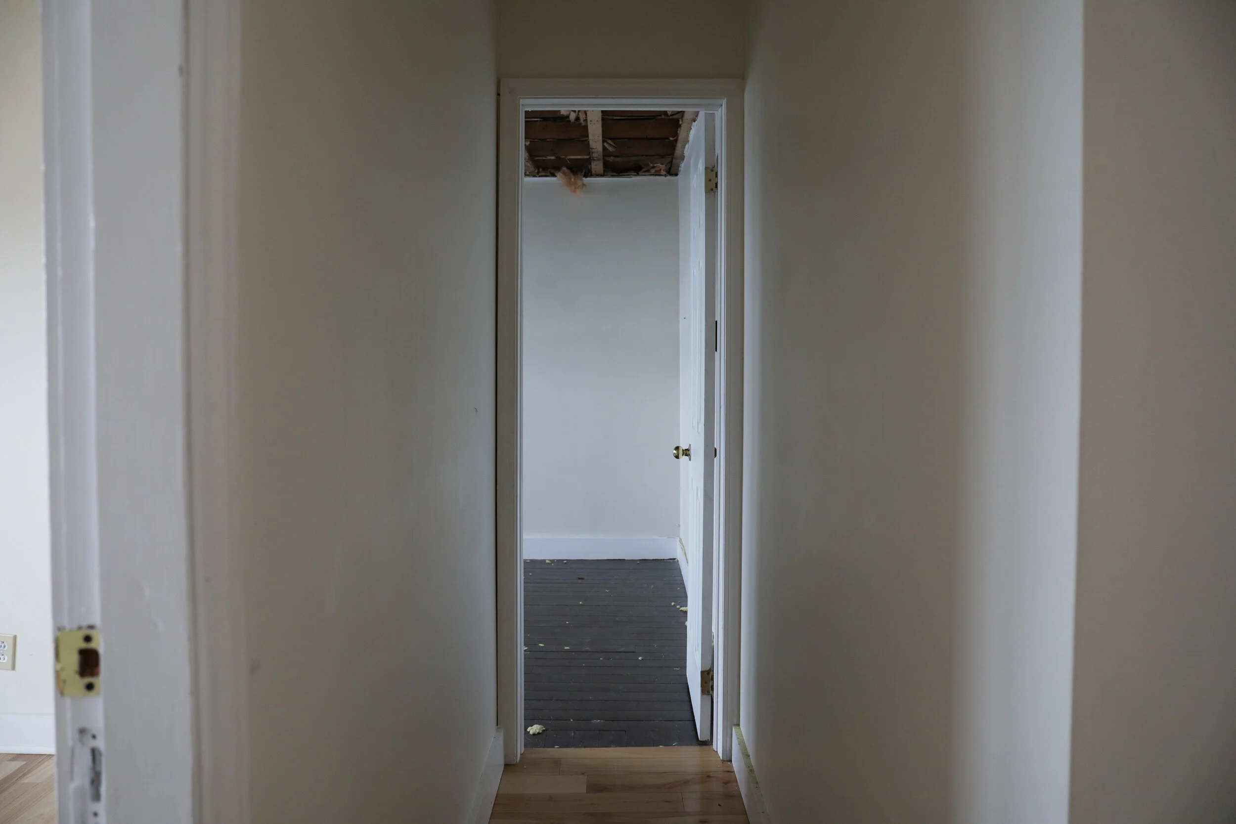 8J6A5362.jpg