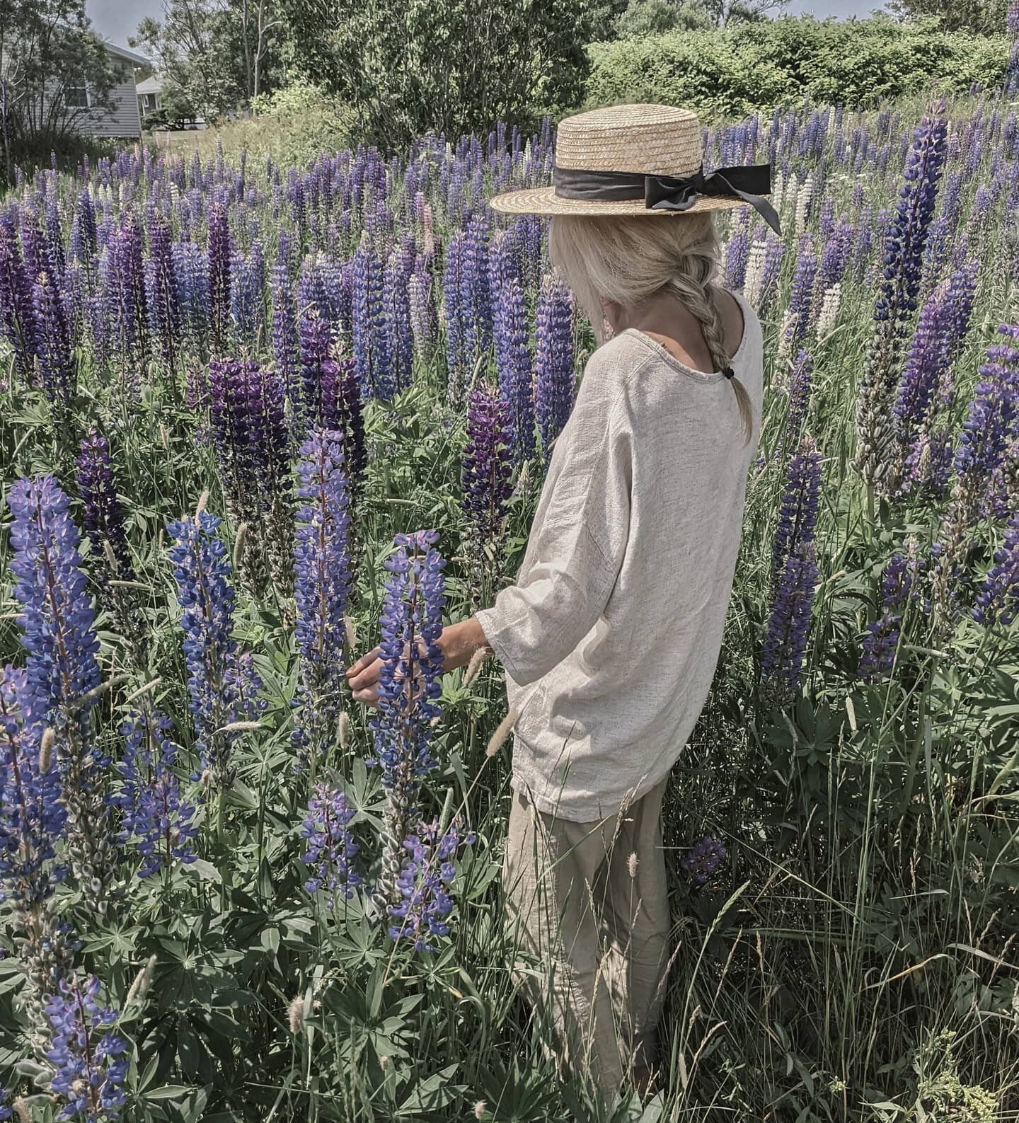 Lupins or Peonies?🍇🌸