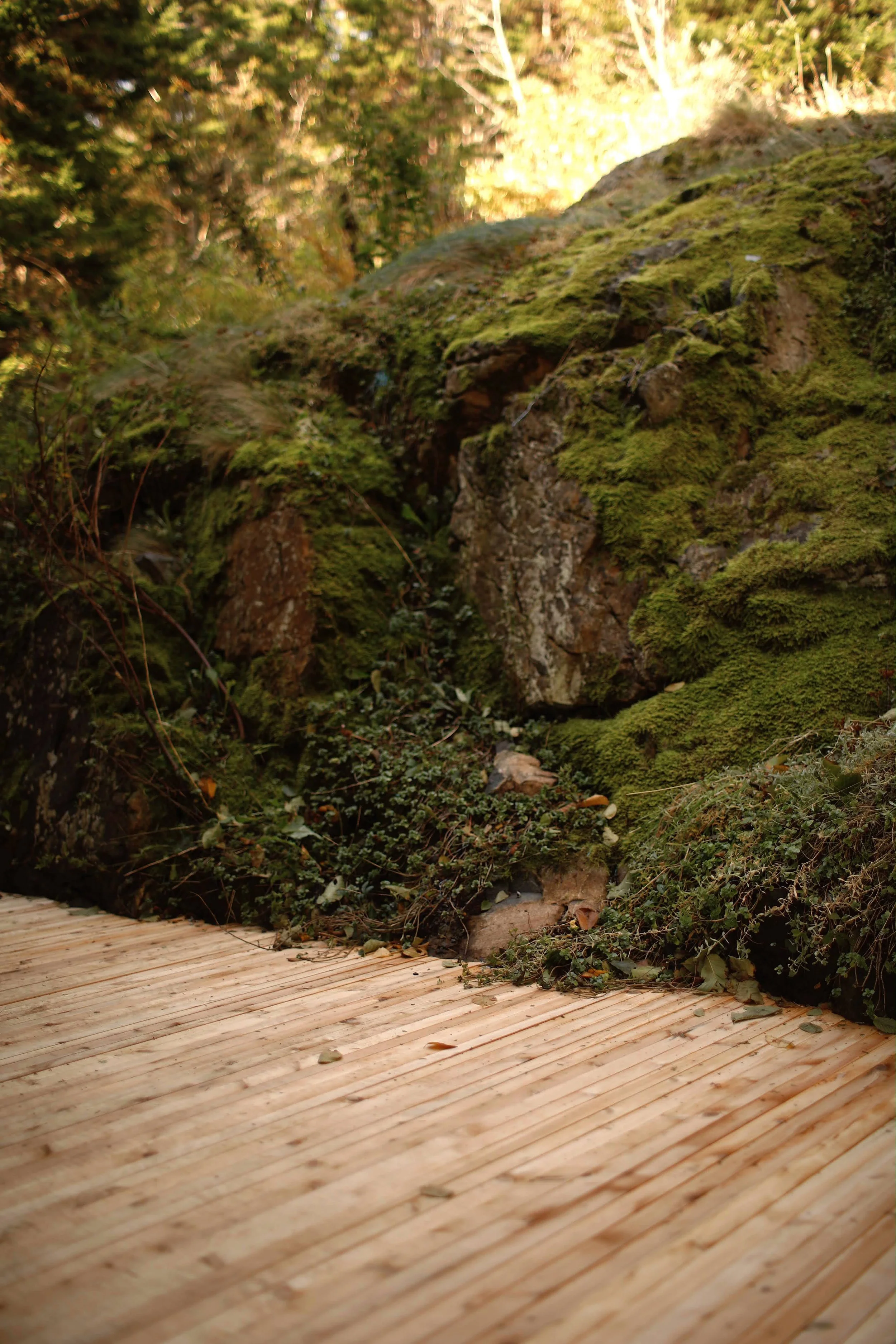 image_6483441 (25).JPG