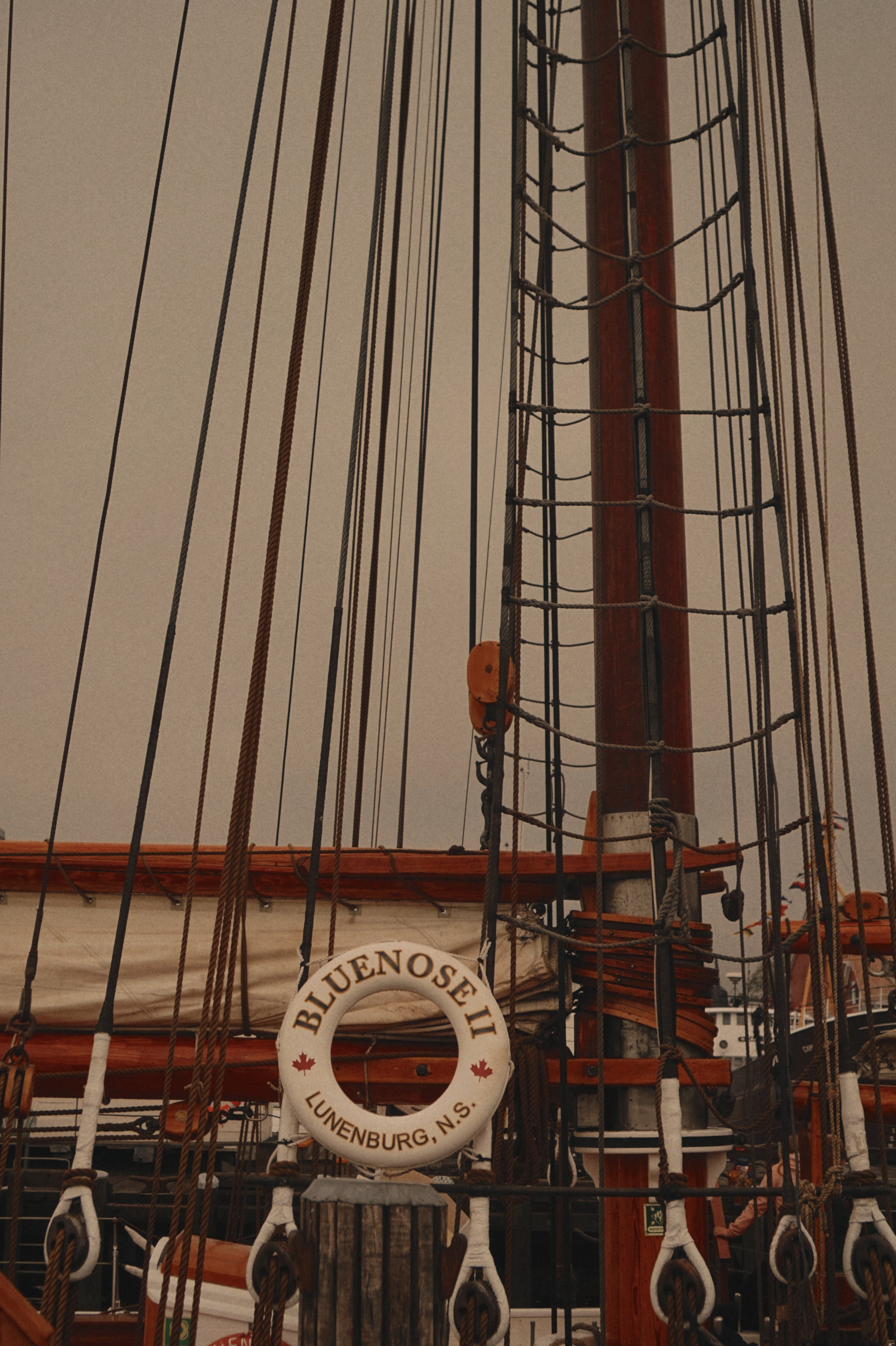 Tezza-4924.JPG