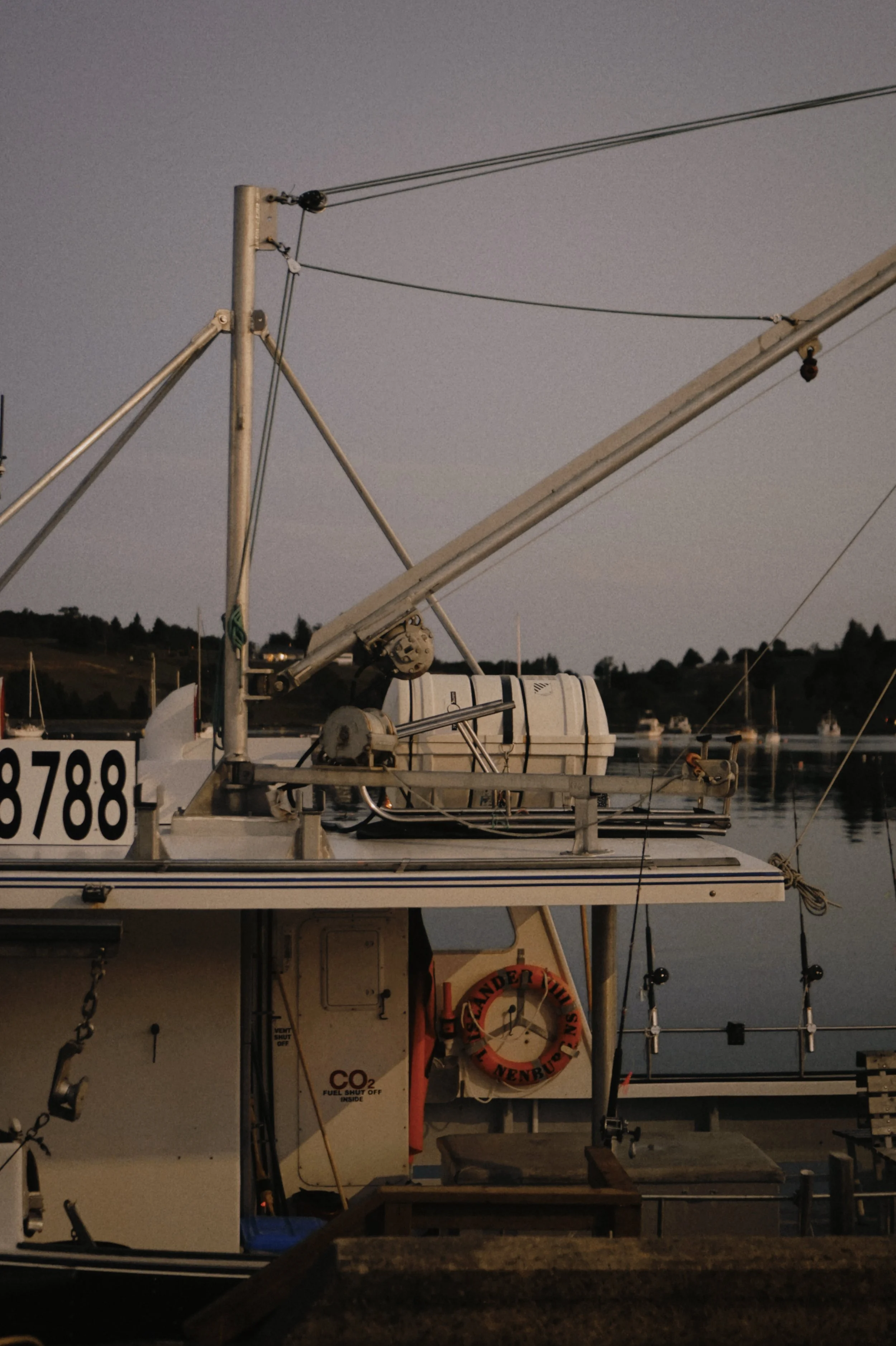 Tezza-6348.JPG