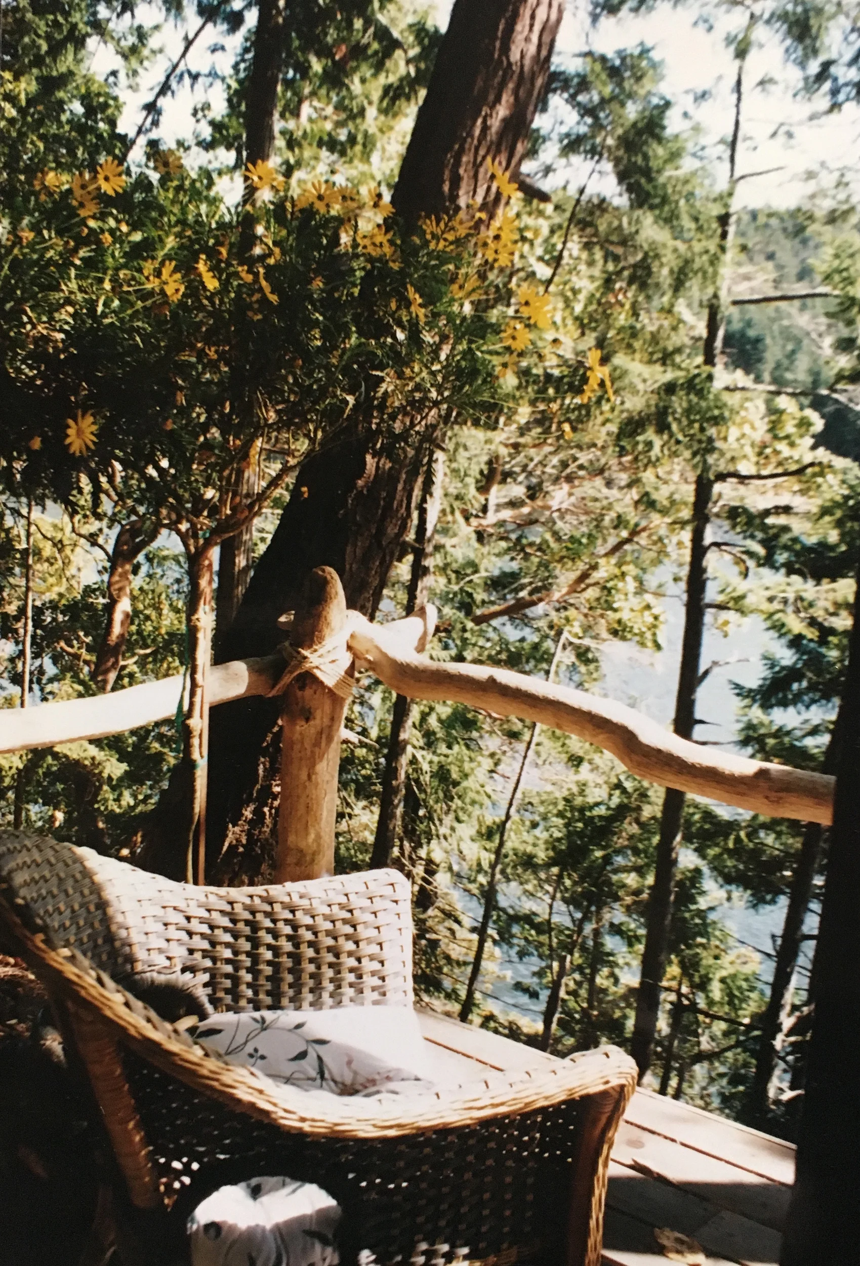 Green_cabin_3.jpg