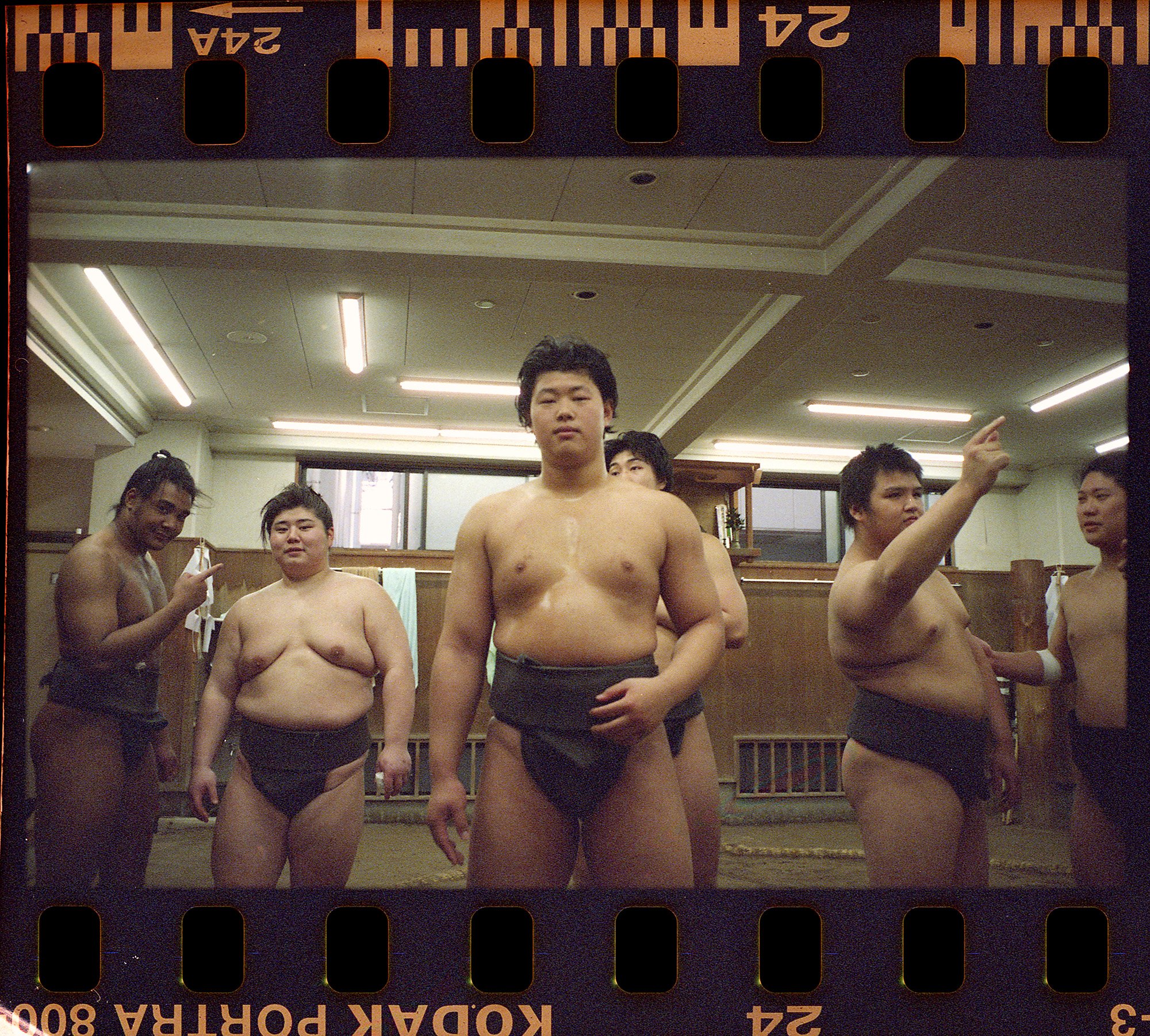 SUMO FIGHTERS