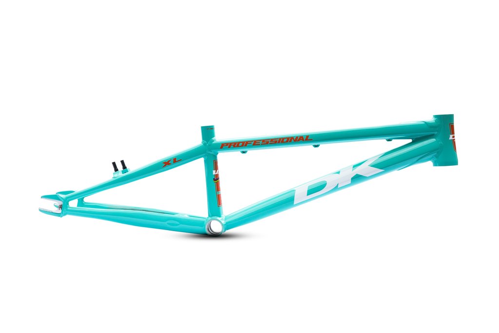 Professional_v2_Teal_1024x1024.jpg