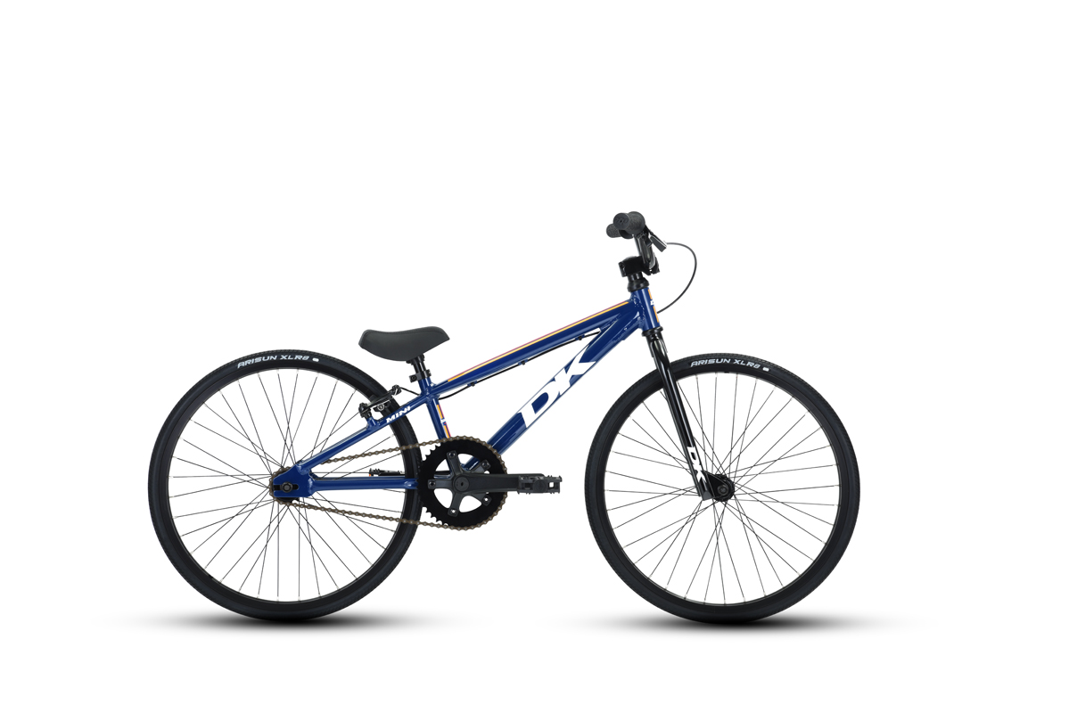 Swift_Mini_Blue.jpg