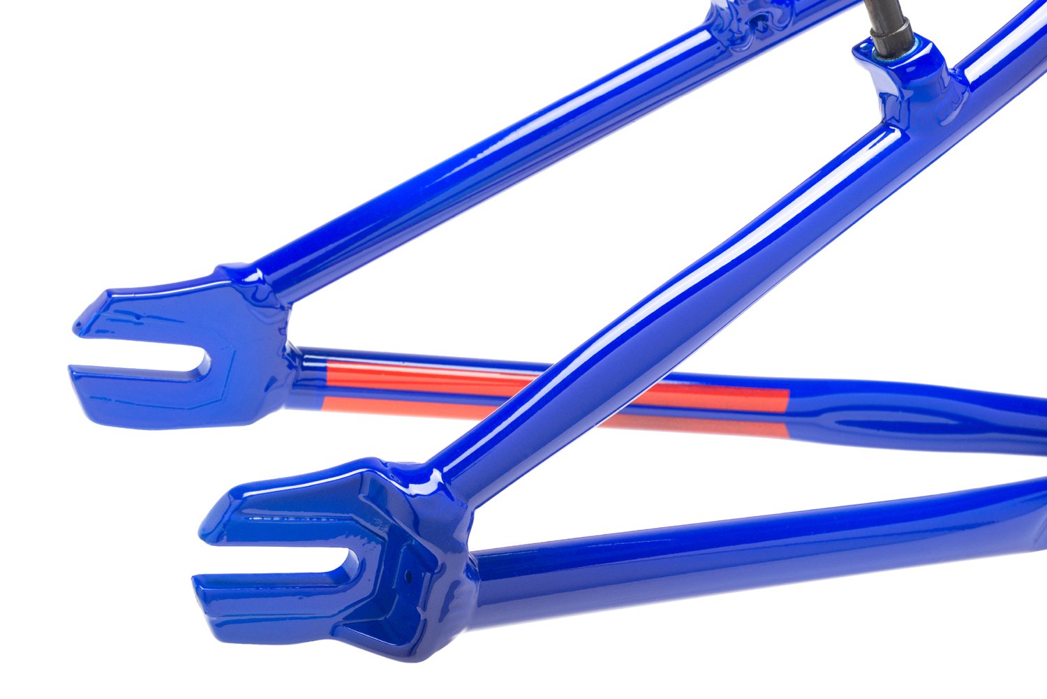 ProLite-Blue-2.jpg