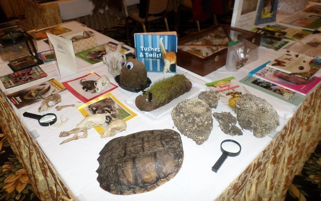 Bio-facts are defined as "dead material of a once-living organism," but Penny broadens the concept to include other hands-on "nature oriented" materials that might be of interest to children and adults.