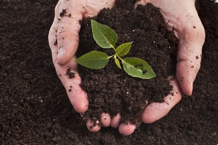 WHAT IS “VERMICOMPOST”