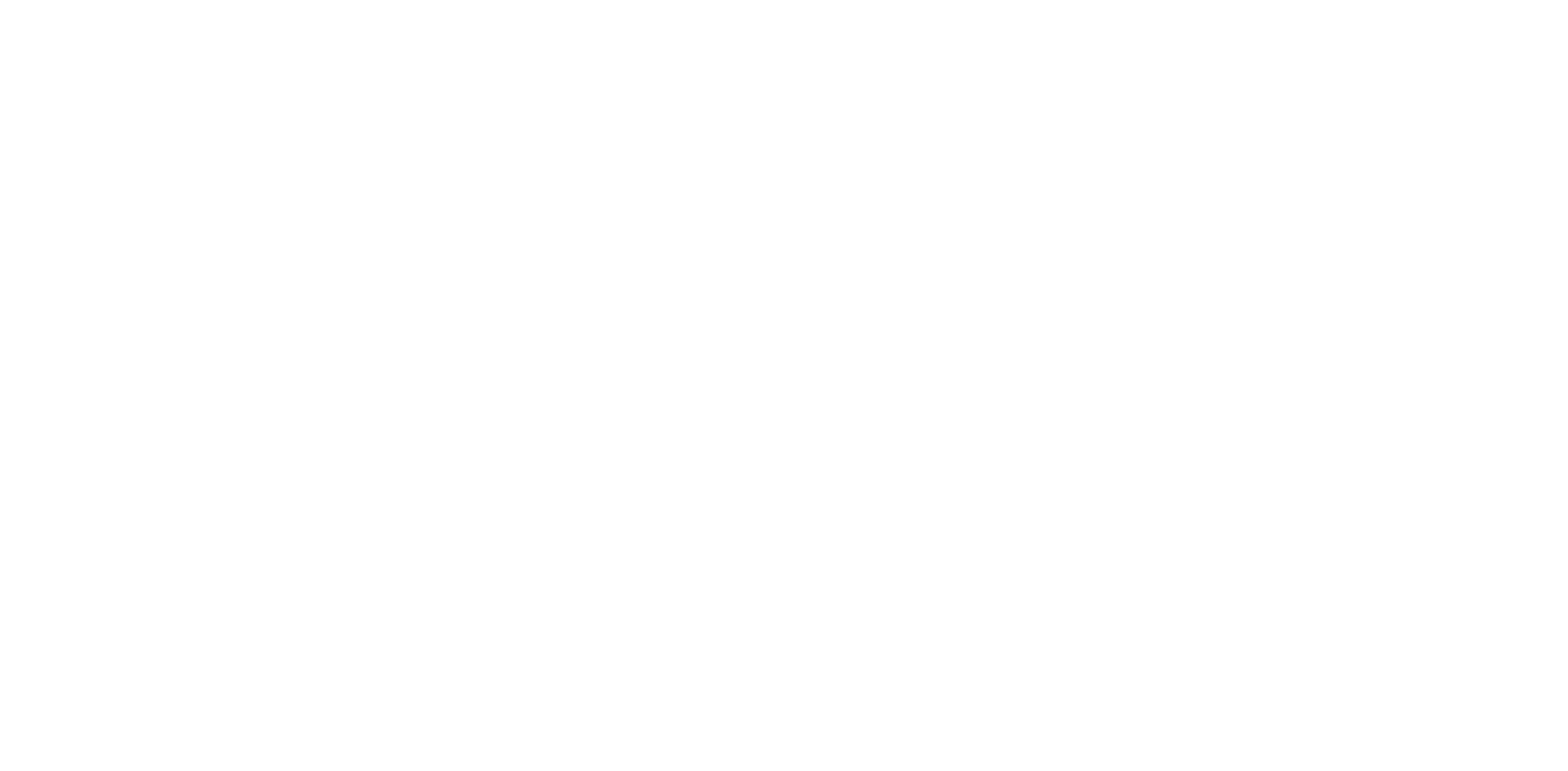 WCC Berlin Logo White.png