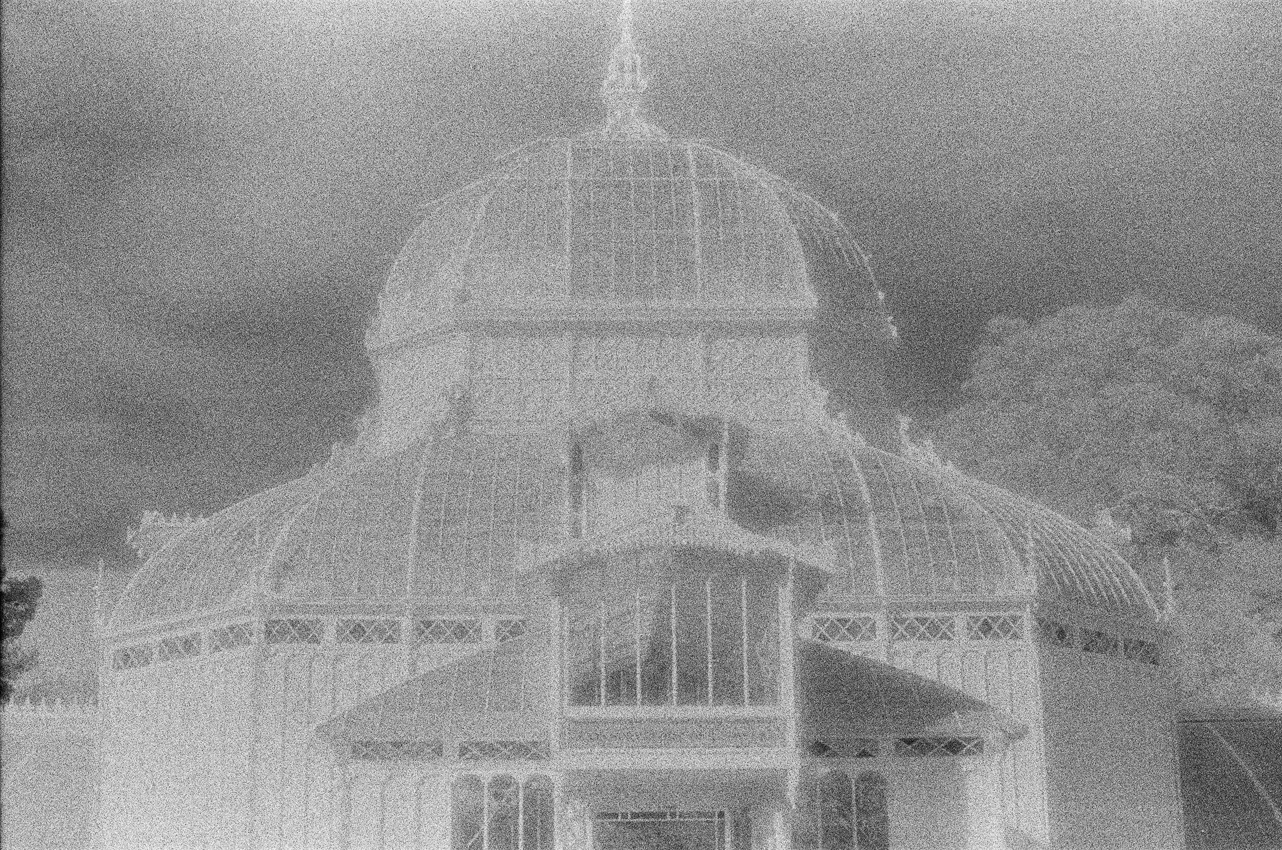 San Francisco Conservatory of Flowers