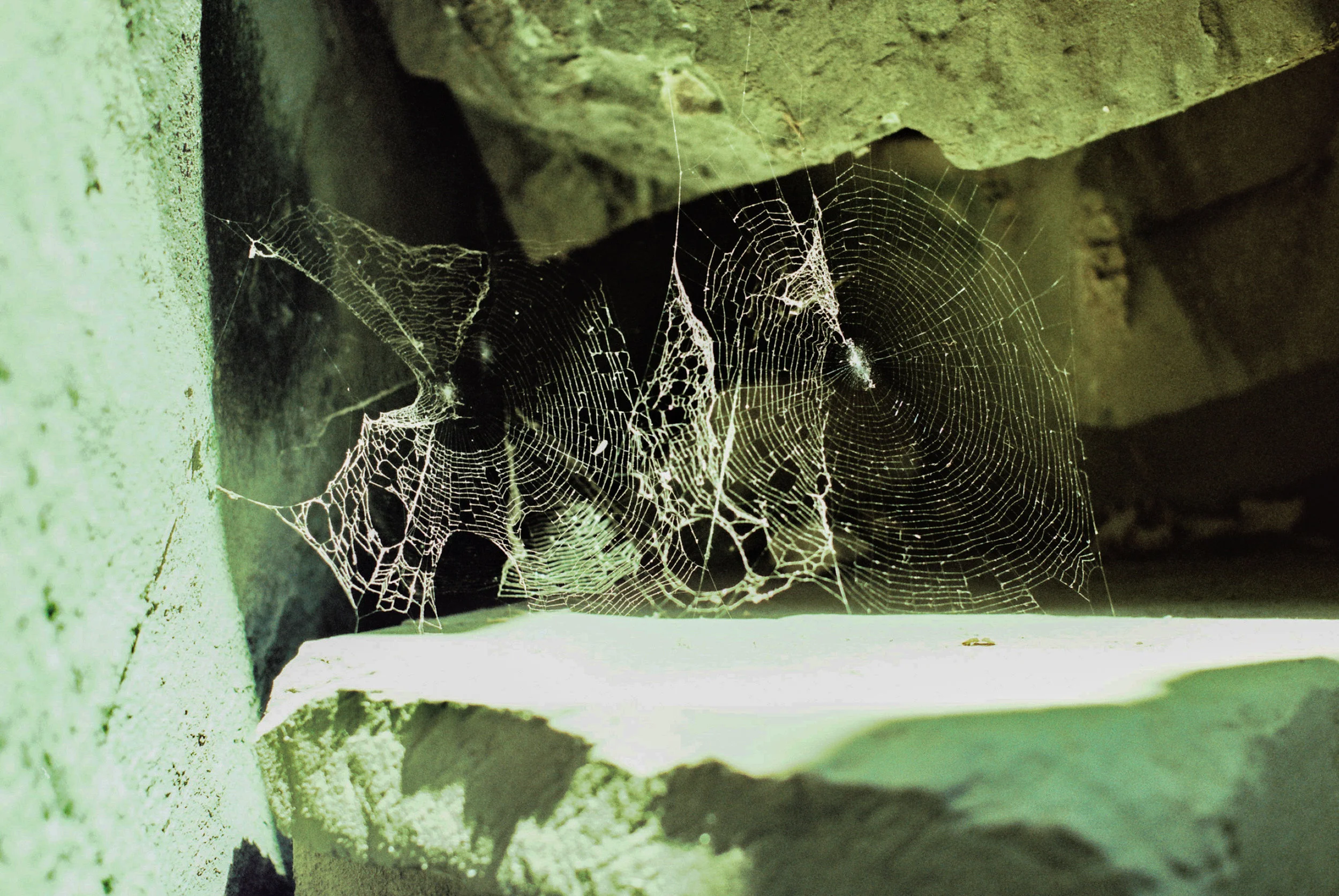 Ta Prohm